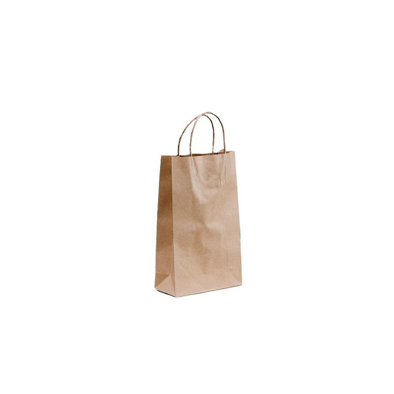 Paper Carry Bags Brown