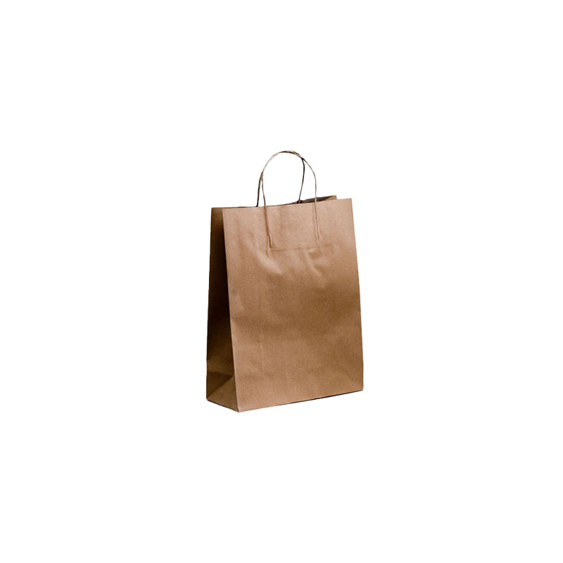 Paper Carry Bags Brown