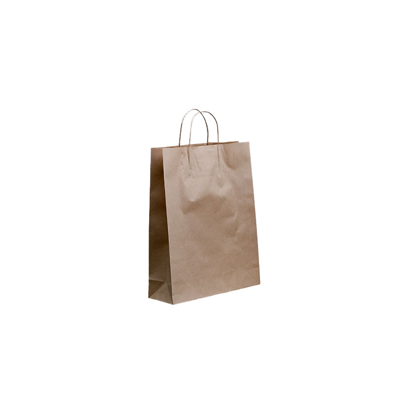 Paper Carry Bags Brown