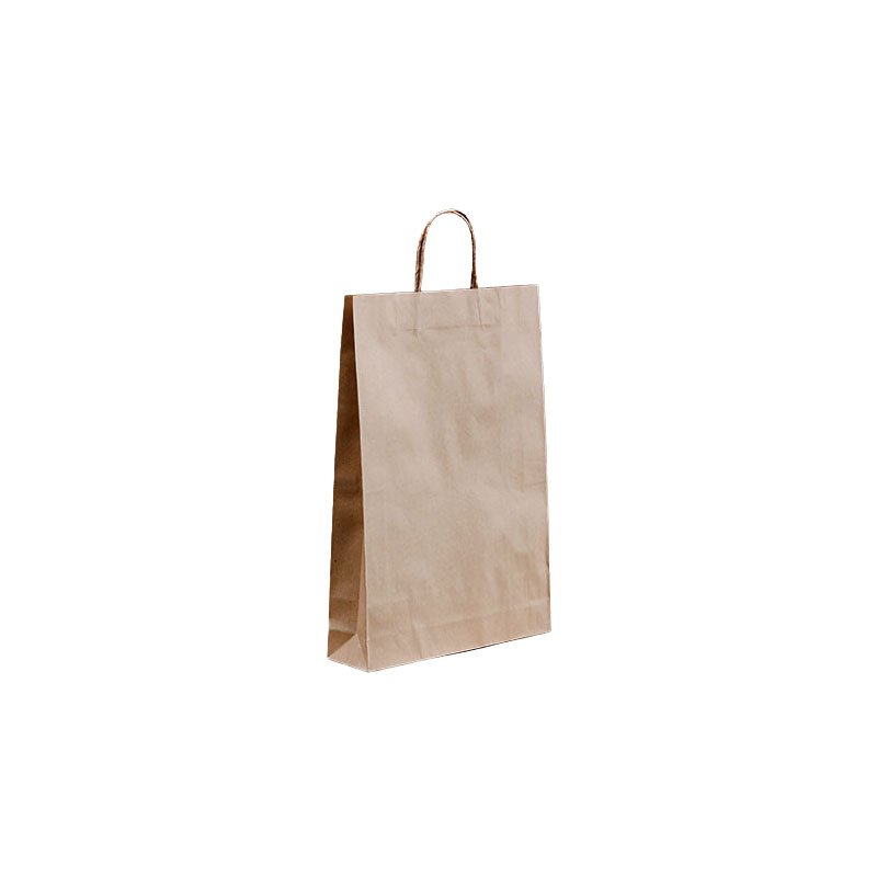 Paper Carry Bags Brown