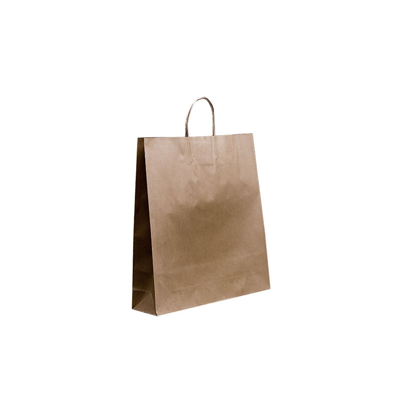 Paper Carry Bags Brown