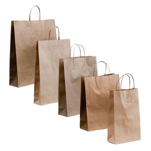 Paper Carry Bags Brown