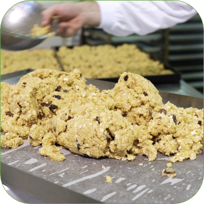 Springhill-Farm-Landing-Challenge Springhill-Farm-Landing-Challenge